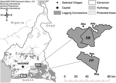 Addressing Potential Conflict Using Participatory Mapping: Collection of Forest Foods From Timber Trees Around Industrial Concessions in Cameroon
